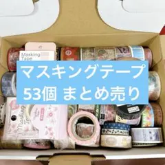 マスキングテープ 新品、中古まとめ売り53個