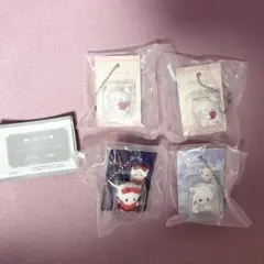 LIL ala mode ミニチュアパッケージチャーム ムース 4点　セット