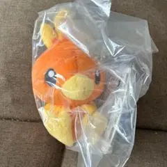 ポケモン一番くじ アチャモ ぬいぐるみのサムネイル