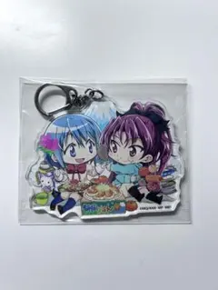 まどかマギカ 10周年記念グッズ アクリルキーホルダー 静岡限定