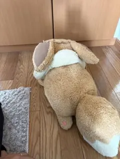 イーブイのぬいぐるみ 大きめ ふわふわ