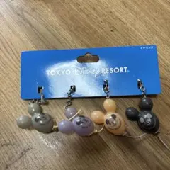 TOKYO DISNEY RESORT ミッキー イヤリングセット
