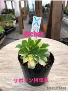 Rei-0208様 リクエスト 5点 まとめ商品