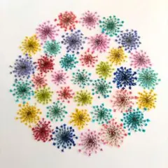 Item thumbnail for item 1b375f62-7839-4c06-88ac-455691e4fe23