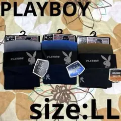 Item thumbnail for item 99414cc3-5ce5-4c28-869c-ea9ffa72e5d5