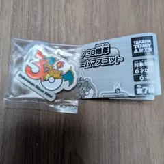 ポケモン30周年 メタルチャームマスコット めじるしアクセサリー　リザードン