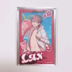 シクフォ二 4周年 チェキ LAN - メルカリ
