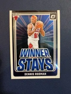 2026年最新】Nba カード ロッドマンの人気アイテム - メルカリ