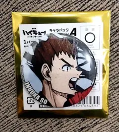 映画 劇場版 ハイキュー キャラバッジコレクション A 缶バッジ 犬岡走