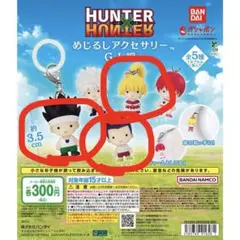 HUNTER×HUNTER めじるしアクセサリー ゴン ビスケ レイザー