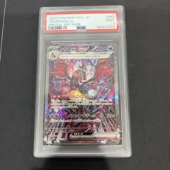 2026年最新】リザードンEX sar psa9の人気アイテム - メルカリ