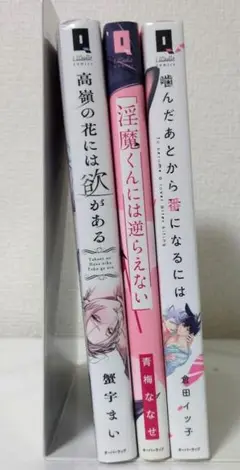 BL漫画3冊売り　バラ売り可能