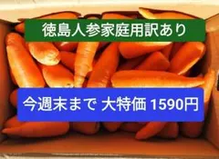 徳島県産 春人参 規格外 訳あり10㌔未満箱込み - メルカリ
