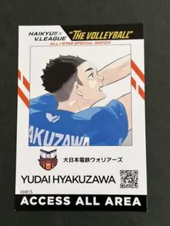 ハイキュー Vリーグ チケットホルダー IDイメージカード 百沢 雄大