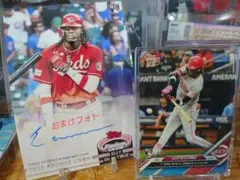 Item thumbnail for item 8ff2c080-e9e5-4444-9584-a56be69610b9