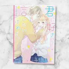 君に好きって言いたいけれど。