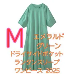 Item thumbnail for item a386fa5b-2a0a-4169-a27c-13c82fc24267