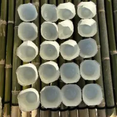 Item thumbnail for item ea350349-81e7-43fd-91f4-994b2bb3cb99