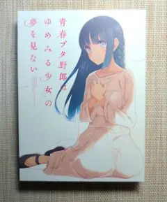 Item thumbnail for item 373be439-c886-40b7-9f81-c6d9771a2853