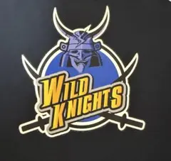 キ*マ様 【海外Mサイズ】NRL イラワラ・ドラゴンズ '20 シングレット