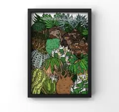 2025年最新】塊根植物 ポスターの人気アイテム - メルカリ