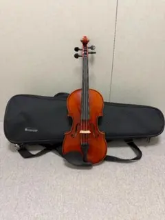 2026年最新】EASTMAN vl80 4/4の人気アイテム - メルカリ