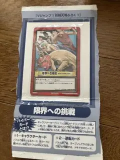 ワンピース　カード　カードダス　ハイパーバトル　限界への挑戦　未開封 2002年製】非販売ワンピース カードダス ハイパーバトル限界への挑戦