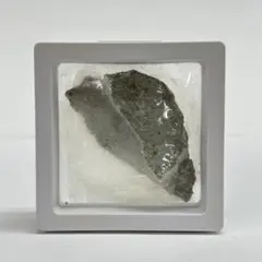 Item thumbnail for item 9cacd39e-6559-4d20-ace4-542fefee0518