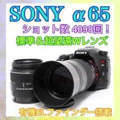 ◆ショット数少なめ◆SONY α65◆一眼レフカメラ◆元箱付き◆すぐ使える◆美品