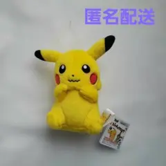 【新品】ピカチュウ　マニア!　ぬいぐるみ　～いろんなピカチュウ～