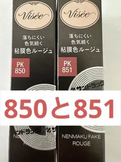 ヴィセ ネンマクフェイク ルージュ PK851 わがままな肉球