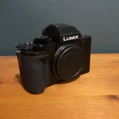 PANASONIC LUMIX DC-G100D ボディ 2089 Panasonic LUMIX G100 Mirrorless Camera with 12-32mm F3.5-5.6 Lens