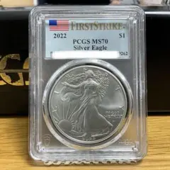 2025年最新】pcgs イーグルの人気アイテム - メルカリ
