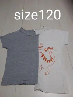 Samansa Mos2 Lagom 恐竜柄 　Tシャツ　キッズ　男の子　120