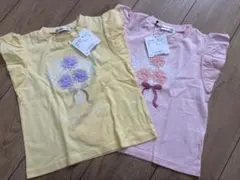 Item thumbnail for item 54bc0d03-2c06-4431-942f-a8f6d888e967