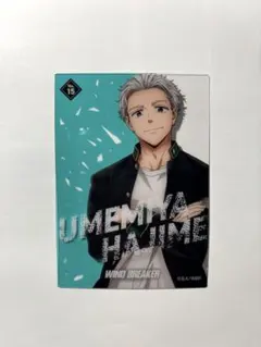 WINDBREAKER ウィンドブレイカー 梅宮一 クリアカードコレクション