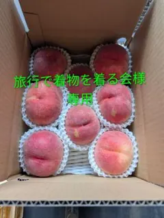 旅行で着物を着る会様　専用！のサムネイル