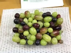 大粒葡萄切り落とし　2キロ以上