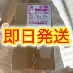 【未開封】 2025 スペシャルBOX ポケモンセンター トウホク　再抽選分