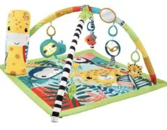 フィッシャープライス fisher price レインフォレストジム　説明書付きのサムネイル