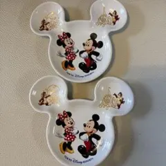 東京ディズニーリゾート スーベニア　ミッキー型皿 2枚セット　TDL