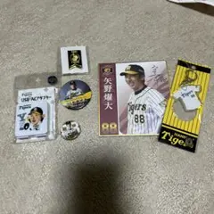 2025年最新】矢野_燿大の人気アイテム - メルカリ