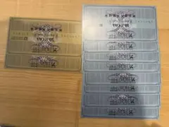 ゼビオ 株主優待券（20％オフ2枚、10％オフ8枚）