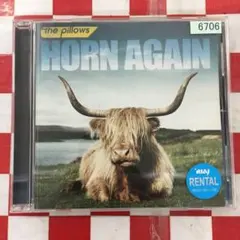 2026年最新】ハヌマーン regressive rock cdの人気アイテム - メルカリ