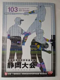 第108回全国高校野球選手権愛知大会 招待券5枚セット - メルカリ