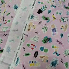 Item thumbnail for item 01f1f847-8ca6-44fb-8c45-608ed831050d