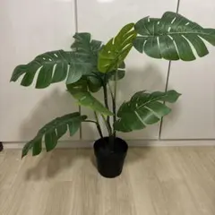 IKEA イケア フェイカ フェイクグリーン 観葉植物　モンステラのサムネイル