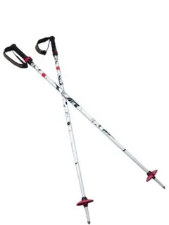 LINE スキー用ストック　100〜130cm　赤黒
