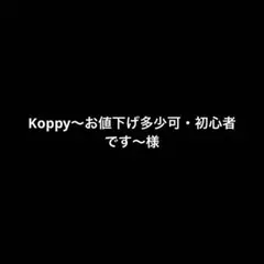 Koppy〜お値下げ多少可・初心者です〜様専用ページ