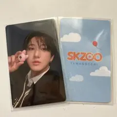 SKZOO たまごっち トレカ チャンビン